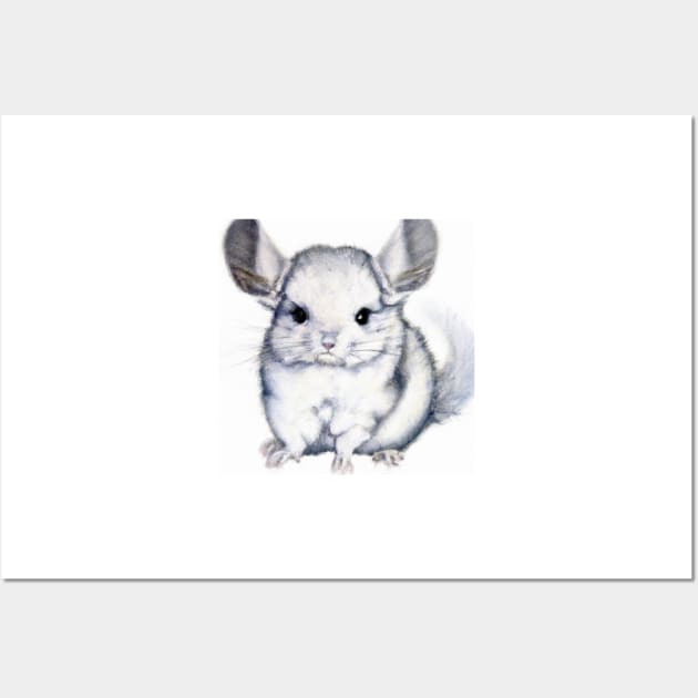 Chinchilla 4 hot sale